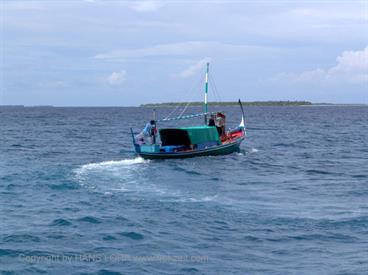 2004 Meedhupparu Malediven,_DSC03473 B_478
